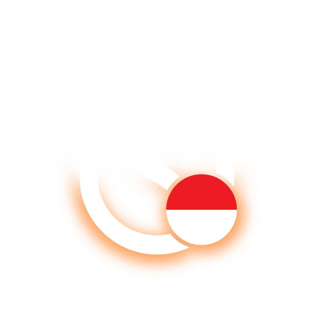 Sui Logo